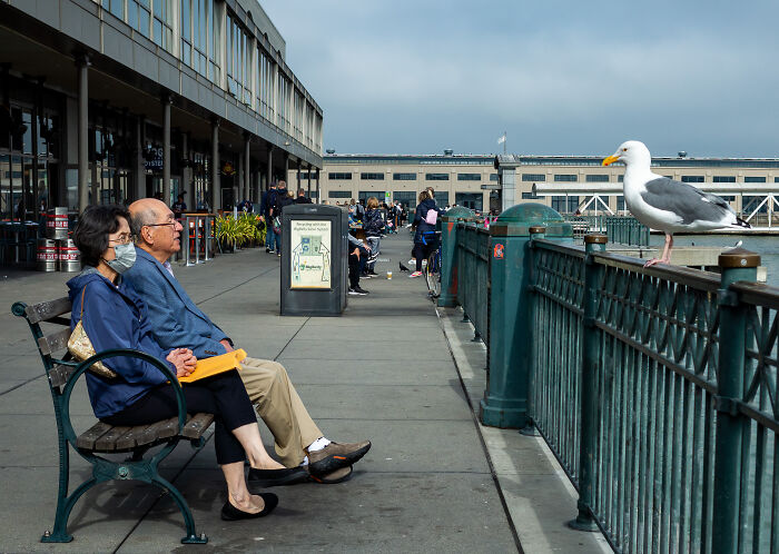 Stories From The Street