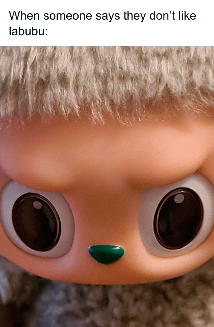 Close-up of the Labubu doll’s face with large eyes and fuzzy hair, inspiring funny Labubu doll memes online.