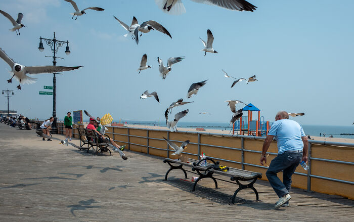 Stories From The Street