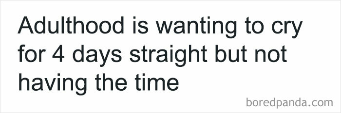 Text meme about adulthood saying wanting to cry for days straight but not having the time, a hilarious post for sharing.