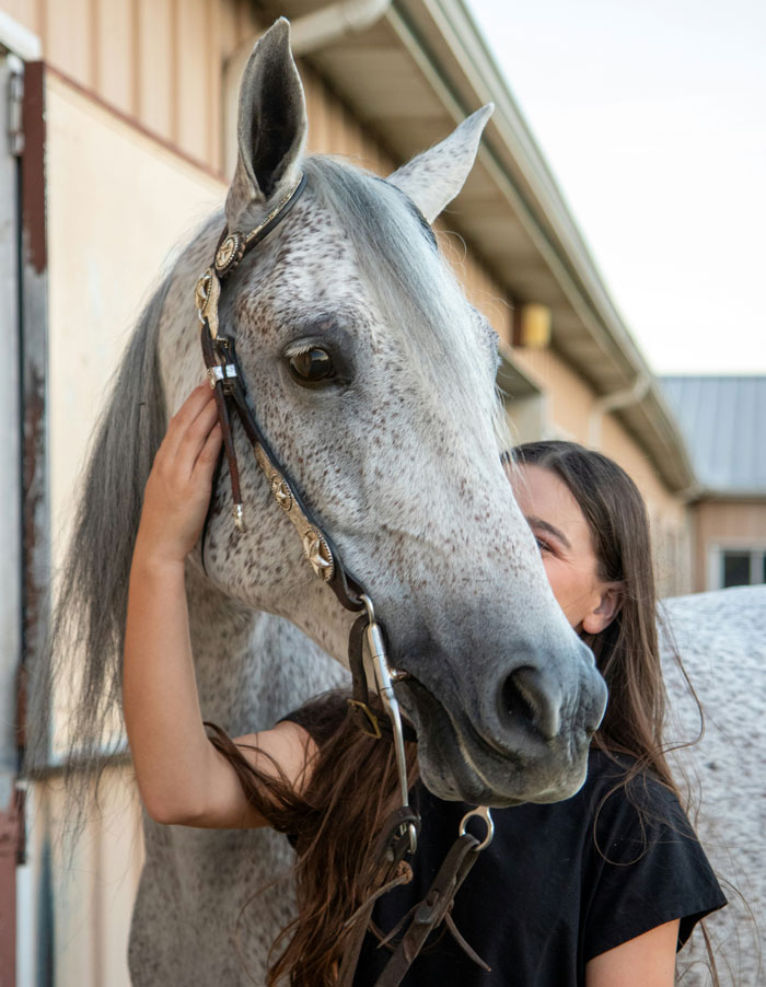 Woman gently touching a gray horse showing real animal behaviors that are as terrifying as they are strange in an outdoor setting