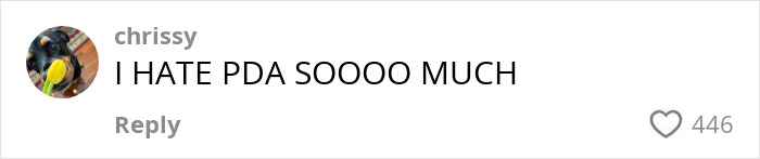 Comment on social media saying I HATE PDA SOOOO MUCH, expressing strong feelings about disrespectful PDA act on plane.