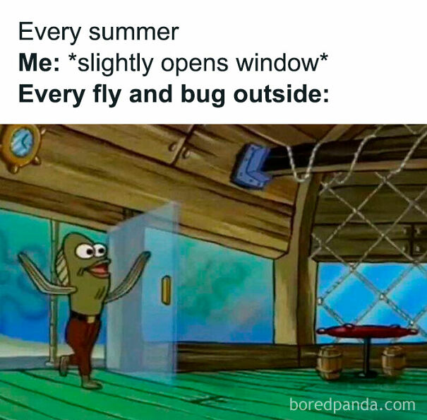 Cartoon character opening a door with caption about summer flies and bugs, funny summer memes humor on insects indoors.