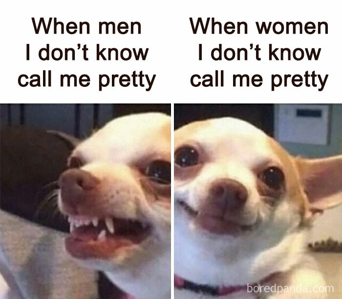 Angry and happy Chihuahua faces illustrating funny dog memes about reactions to compliments from men and women.