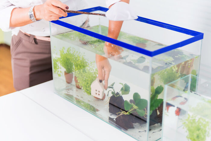 Person placing a small house inside a fish tank with plants, illustrating unusual and awful roommate situations.