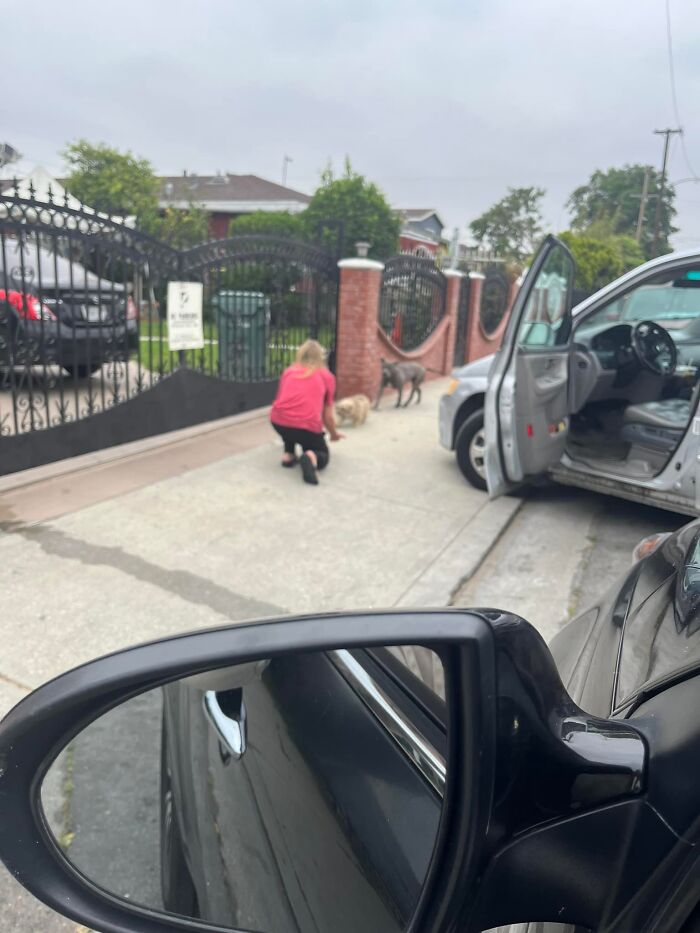 Two loyal stray pups staying close together on a sidewalk while a person in a pink shirt approaches them near cars.