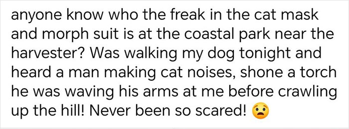 Text describing a person in a full-body cat suit crawling at night, terrorizing a neighborhood.