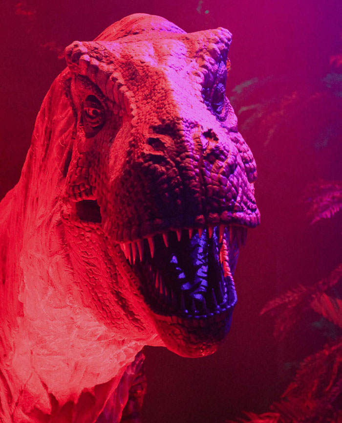 50 Scary Animal Behavior Facts That Might Horrify You