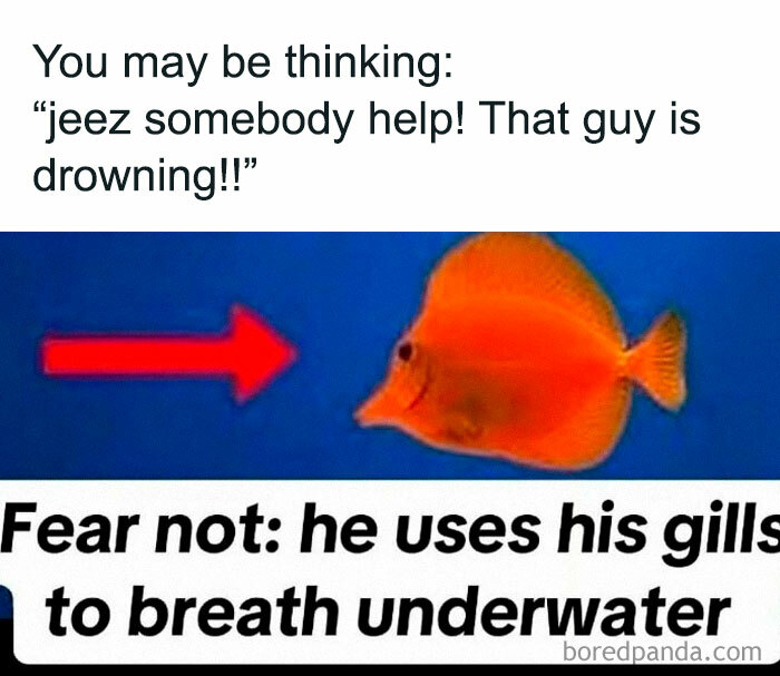 Funny nerdy meme showing a fish with a red arrow and a joke about using gills to breathe underwater.