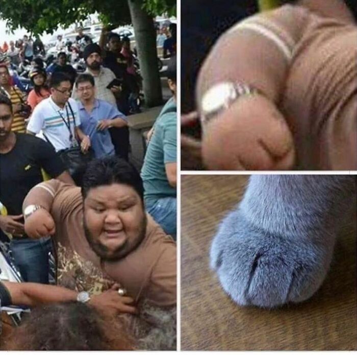 A man with a clenched fist resembling a cat’s paw, popular in weird and unhinged humor memes.