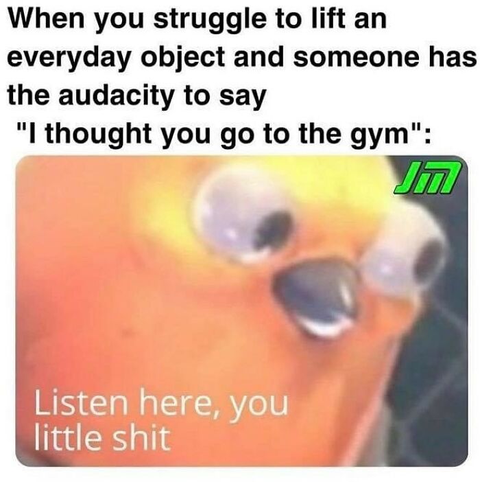 Funny gym meme showing a close-up angry bird with caption about struggling to lift everyday objects.
