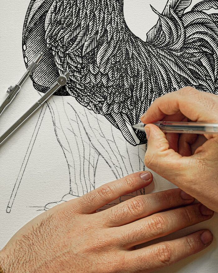 Detailed black-and-white illustration of a rooster with human features being drawn with precision and fine pen lines.