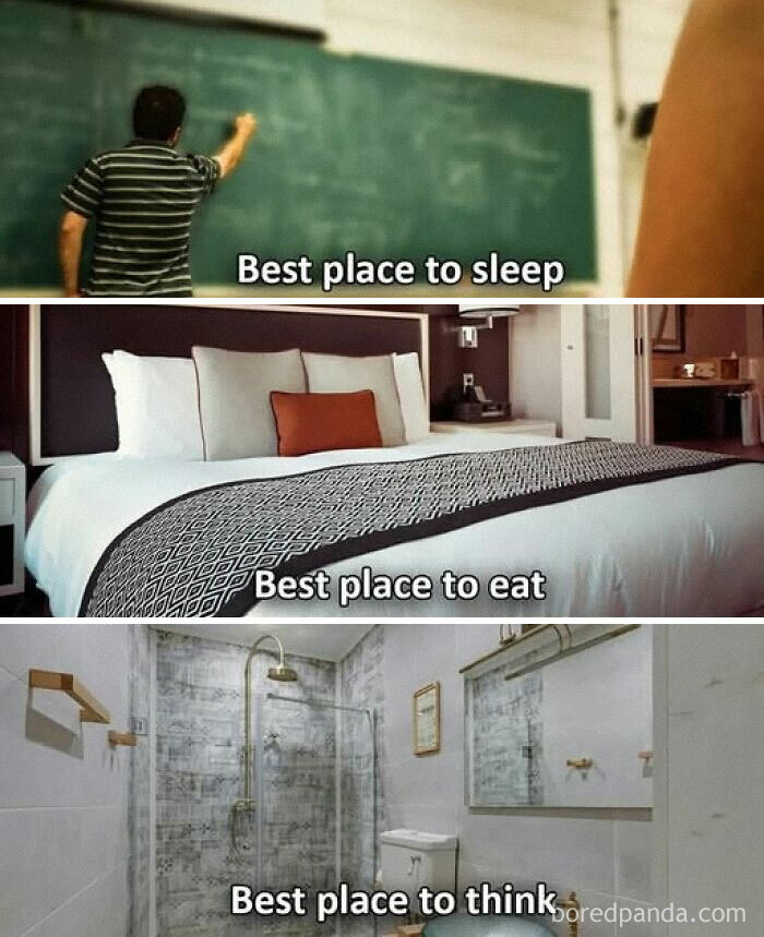 Man writing on chalkboard labeled best place to sleep, luxury bed as best place to eat, shower as best place to think, science memes.