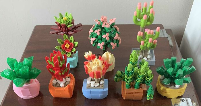 My Building Block Succulents (I Have More To Build :-D)
