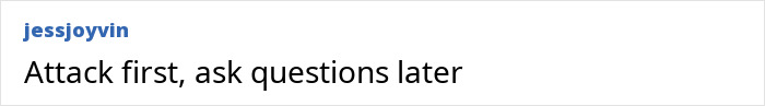 Screenshot of a social media comment saying Attack first, ask questions later referencing a woman attacking a bus passenger. - 4