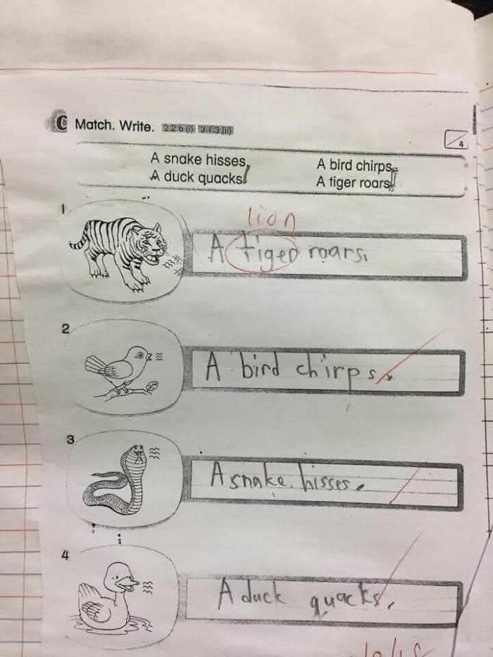 Child's homework with animal sounds matched incorrectly, highlighting overconfident know-it-alls who incorrectly correct people online.