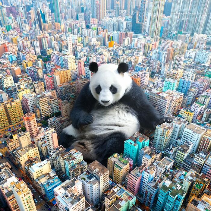 Giant panda digitally edited into Hong Kong cityscape, blending surreal panda edits with urban playground vibes.