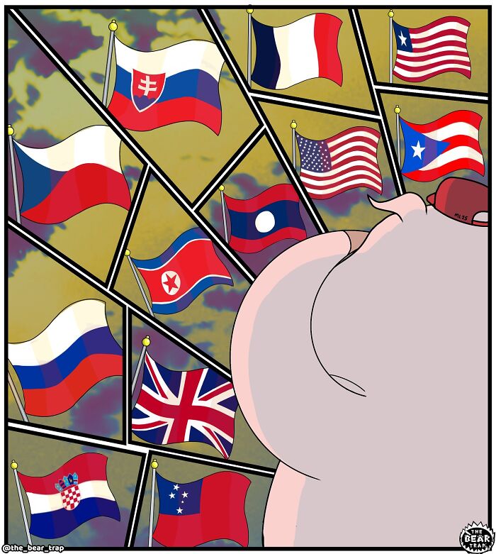 Cartoon pig saluting and wearing a cap in funny animal comics illustrating real-life struggles in a humorous way.