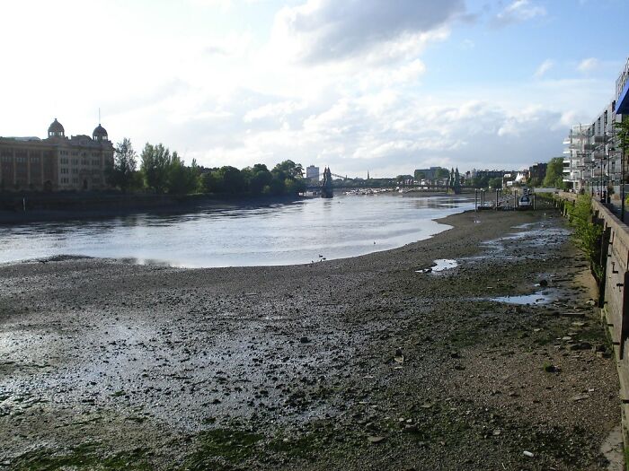 Riverbank eroding with low water levels under cloudy sky, illustrating one of the things on the brink of collapse. - 12