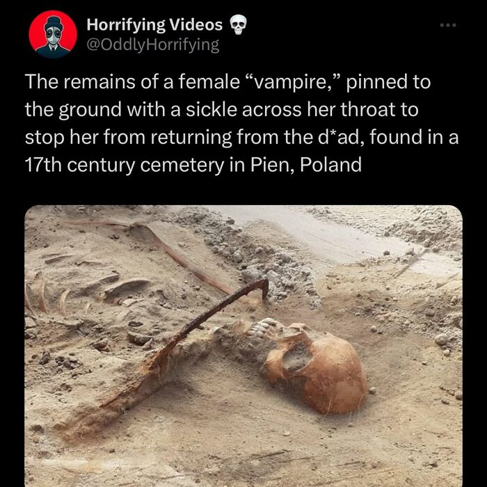 17th century female skeleton with a sickle pinned across the throat in a Polish cemetery, an unnerving historical discovery.