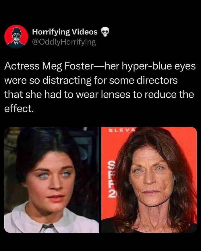 Side-by-side images of actress Meg Foster highlighting her unnerving hyper-blue eyes, a feature linked to oddly horrifying visuals.
