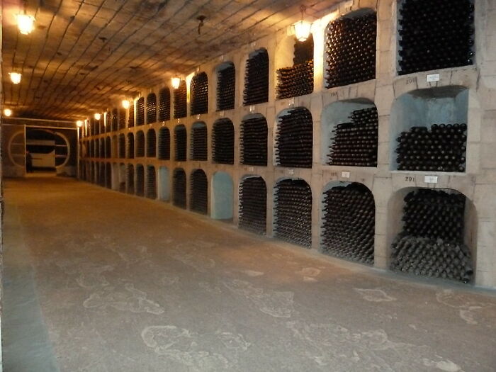Wine bottles stored in a cellar showcasing bizarre facts about countries and their unique traditions and practices.
