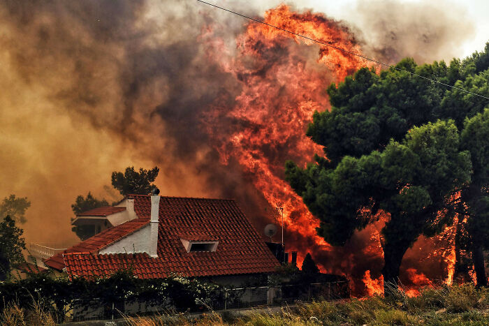 Wildfire flames and thick smoke engulfing trees near a residential house during a catastrophic wildfire event.