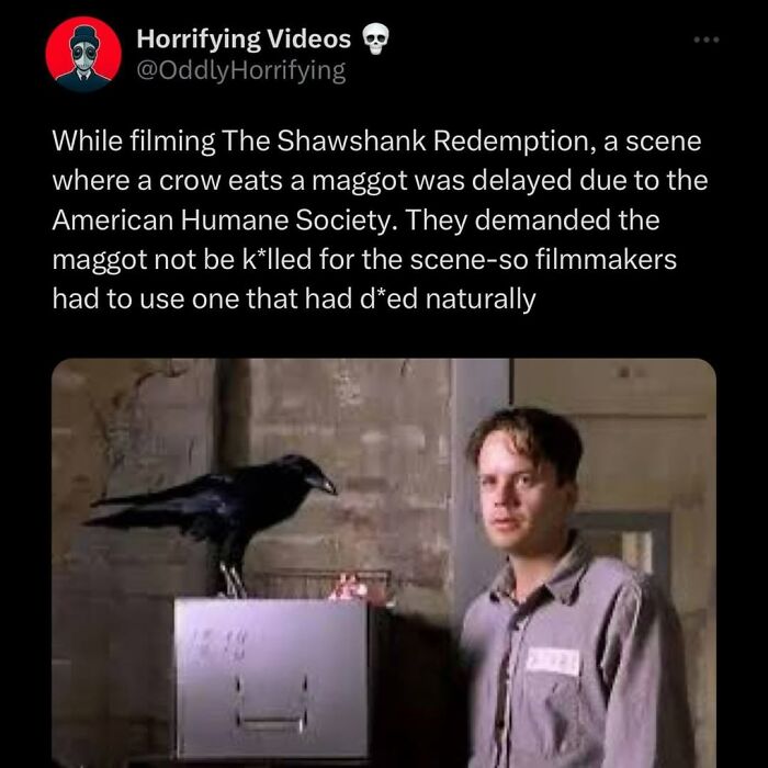 Tweet from Horrifying Videos about filming a crow eating a maggot scene in The Shawshank Redemption, an oddly horrifying moment.