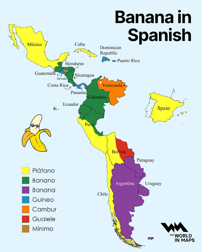 Map of Latin America showing regional Spanish words for banana with colorful country labels and a peeled banana illustration.
