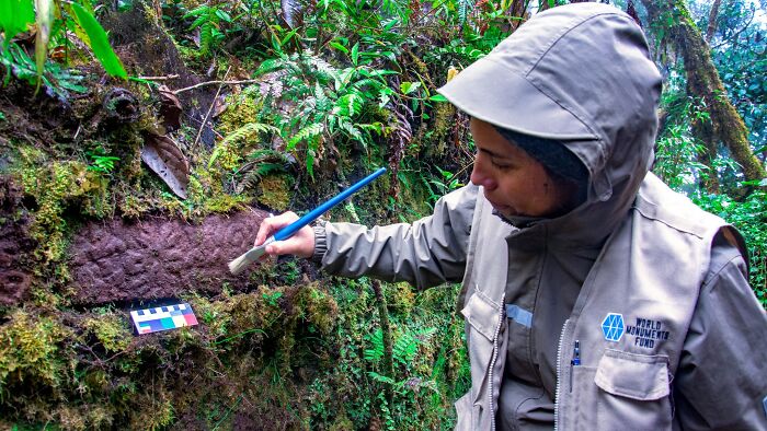 Archaeologist in outdoor gear carefully brushing ancient structures linked to mysterious ancient civilization in dense forest. - 5