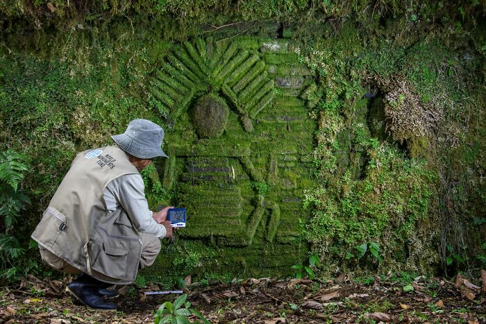 Archaeologist examining moss-covered ancient stone structure linked to mysterious ancient civilization in dense forest setting. - 4