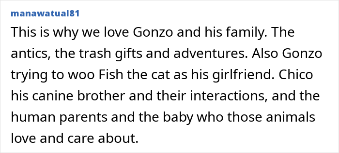 Man Built A Cat Cam To Track His Pet, What It Captured Is Pure Gold Man Built A Cat Cam To Track His Pet, What It Captured Is Pure Gold