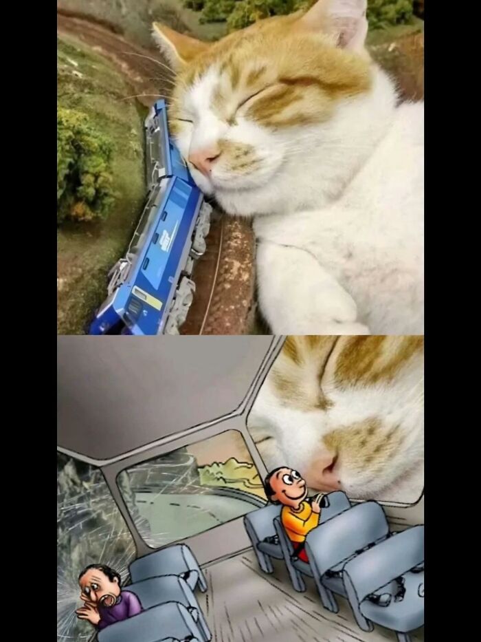 Cat peacefully sleeping next to a toy train, featured in funny animal memes that bring pure joy and laughter.