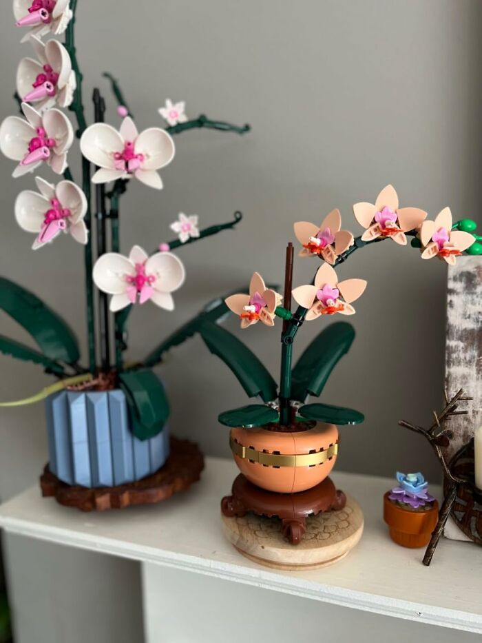 LEGO flower pots with detailed orchid builds, showcasing creative hobbies to try when you want a hands-on activity.