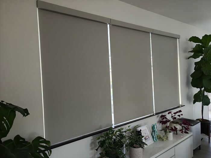Window blinds down in a bright room with plants, demonstrating essential heatwave hacks for staying cool indoors.