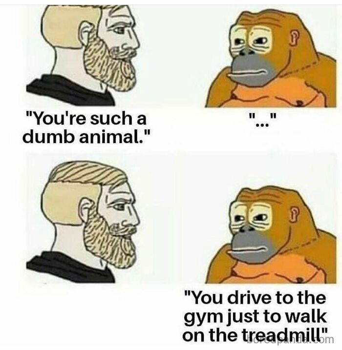 Meme showing a bearded man and a sad gorilla, humorously mocking gym habits with treadmill walking joke.