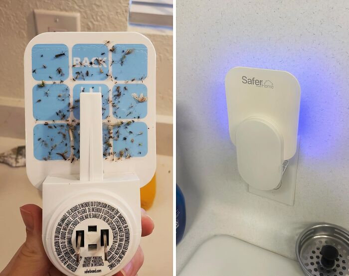 Handheld insect trap covered with bugs next to a plugged-in electronic pest repeller under $15 for problem solving.