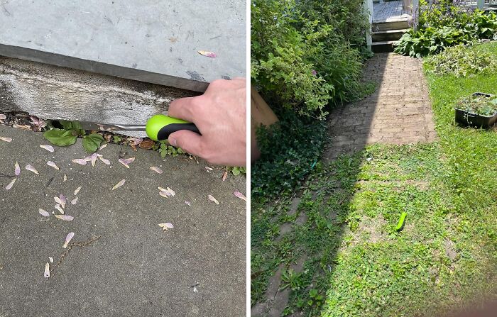 Low-effort garden tools and simple yard maintenance for anyone with a beige thumb wanting easy garden finds.