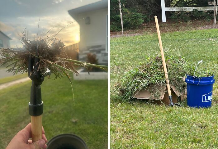 Garden rake with grass clippings and a pile of low-effort garden finds on a lawn beside a blue bucket.