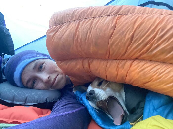 Person and cutest backpacking dog cozy inside a tent, wrapped in sleeping bags during an outdoor camping trip.