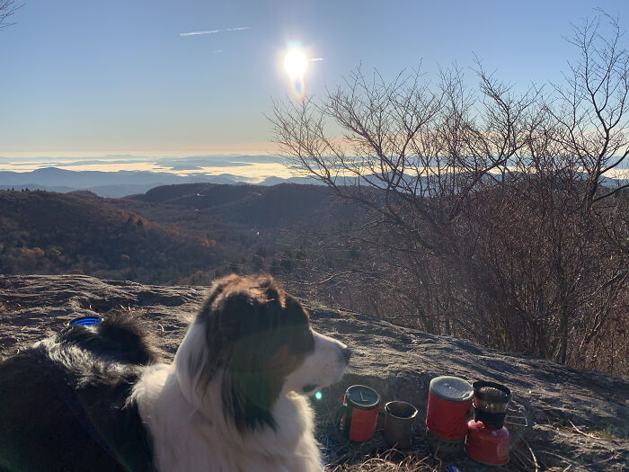 Dog resting on a rock with backpacking gear, enjoying a scenic mountain view at sunrise with clear skies.
