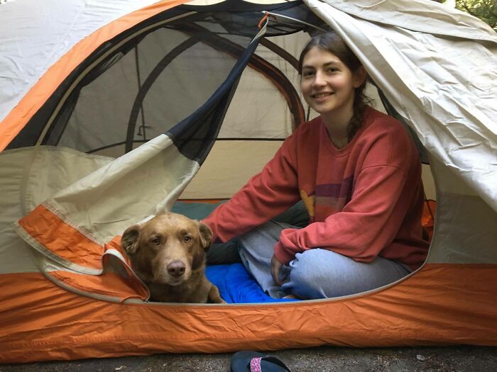 Young woman and her dog relaxing inside a tent while camping outdoors, showcasing cute backpacking dogs on an adventure.