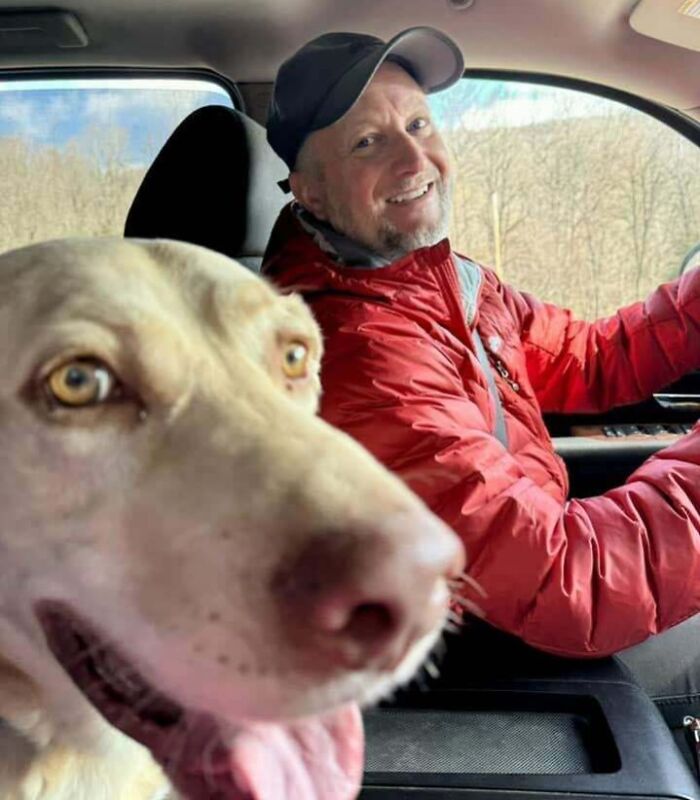 Man in red jacket driving a car with a happy dog in the passenger seat, showcasing cutest backpacking dogs on a trip.