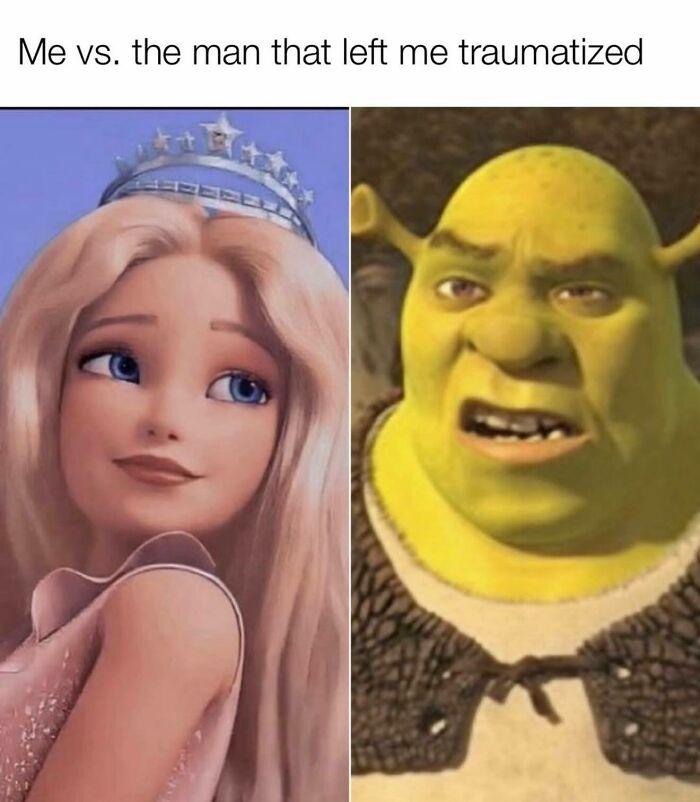 Side-by-side images of a glamorous animated princess and the ogre Shrek representing funny and relatable memes for girly women.