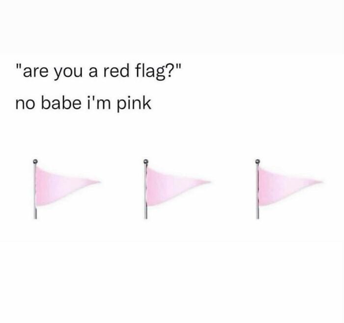 Funny and relatable memes for girly women featuring playful pink flags instead of red flags in a humorous text format.