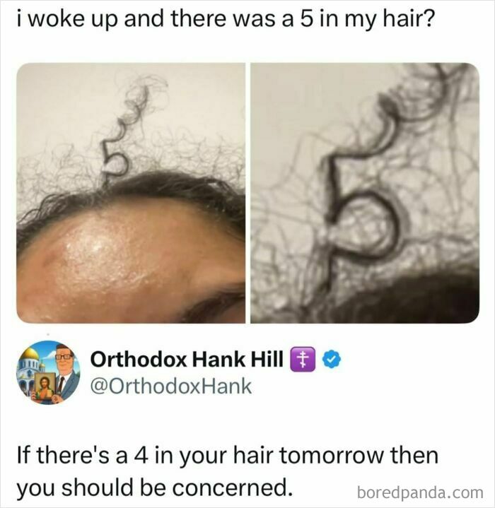 Close-up of a curly hair strand shaped like the number 5, shared as a funny meme to brighten your day.