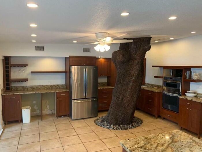 Kitchen with large tree trunk growing through tiled floor surrounded by wooden cabinets in unhinged real estate listing