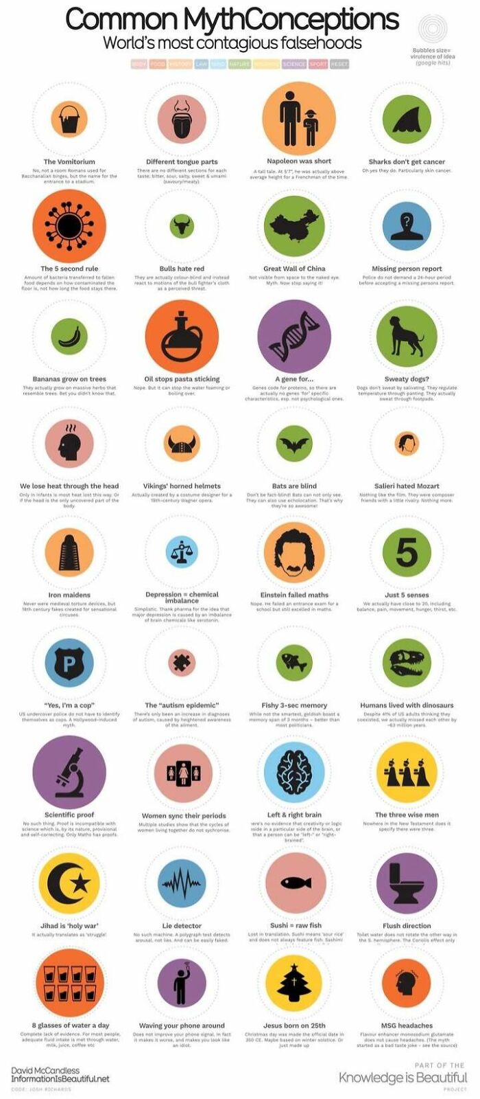 Infographic displaying common mythconceptions with icons and facts, highlighting interesting infographics and data perspective shifts.