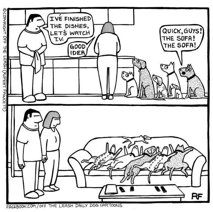 Cartoon from Off The Leash comics showing dogs excitedly taking over the sofa while owners watch in disbelief.