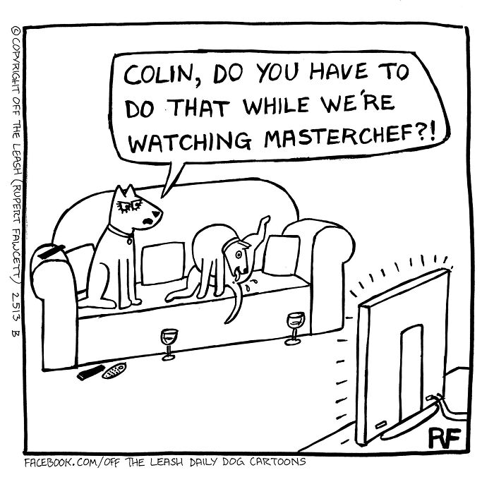 Two dogs on a couch, one upset while watching Masterchef, in a funny Off The Leash comic about dog owner life.